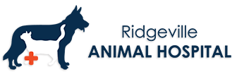 Link to Homepage of Ridgeville Animal Hospital