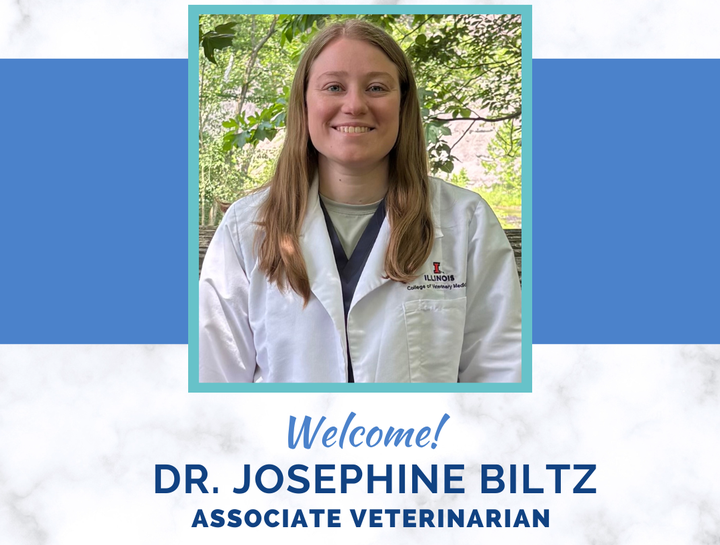 Welcome Dr. Biltz!!